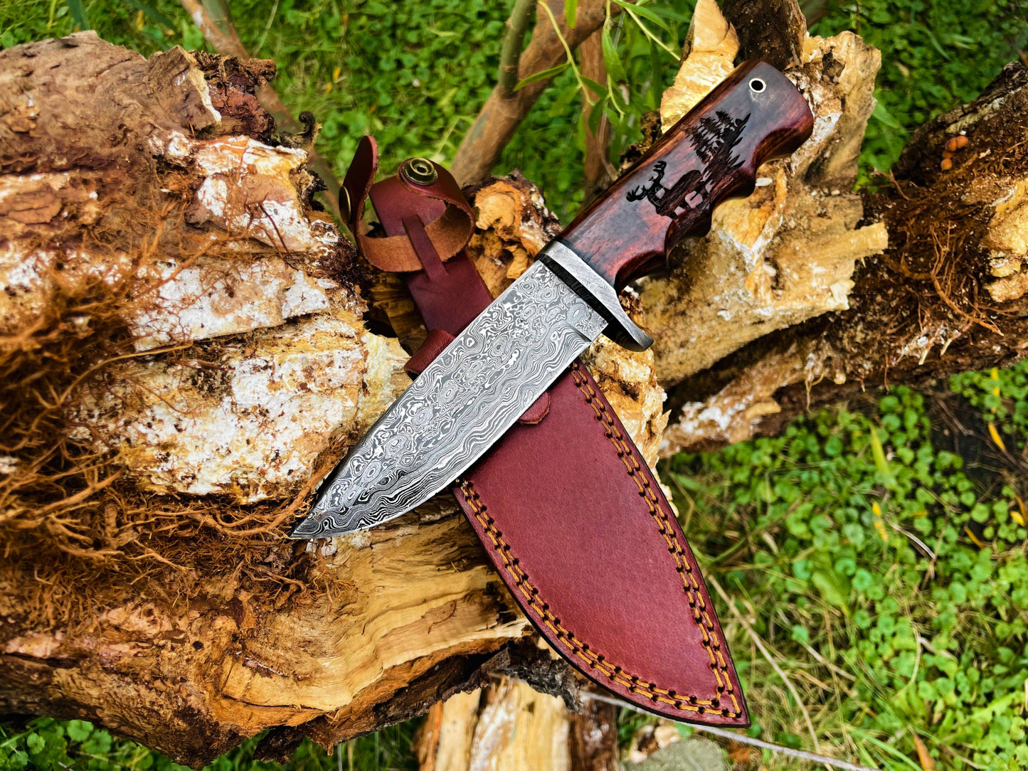 A.3 Damascus Steel Hunting Knife Buck Engraved Walnut Scales