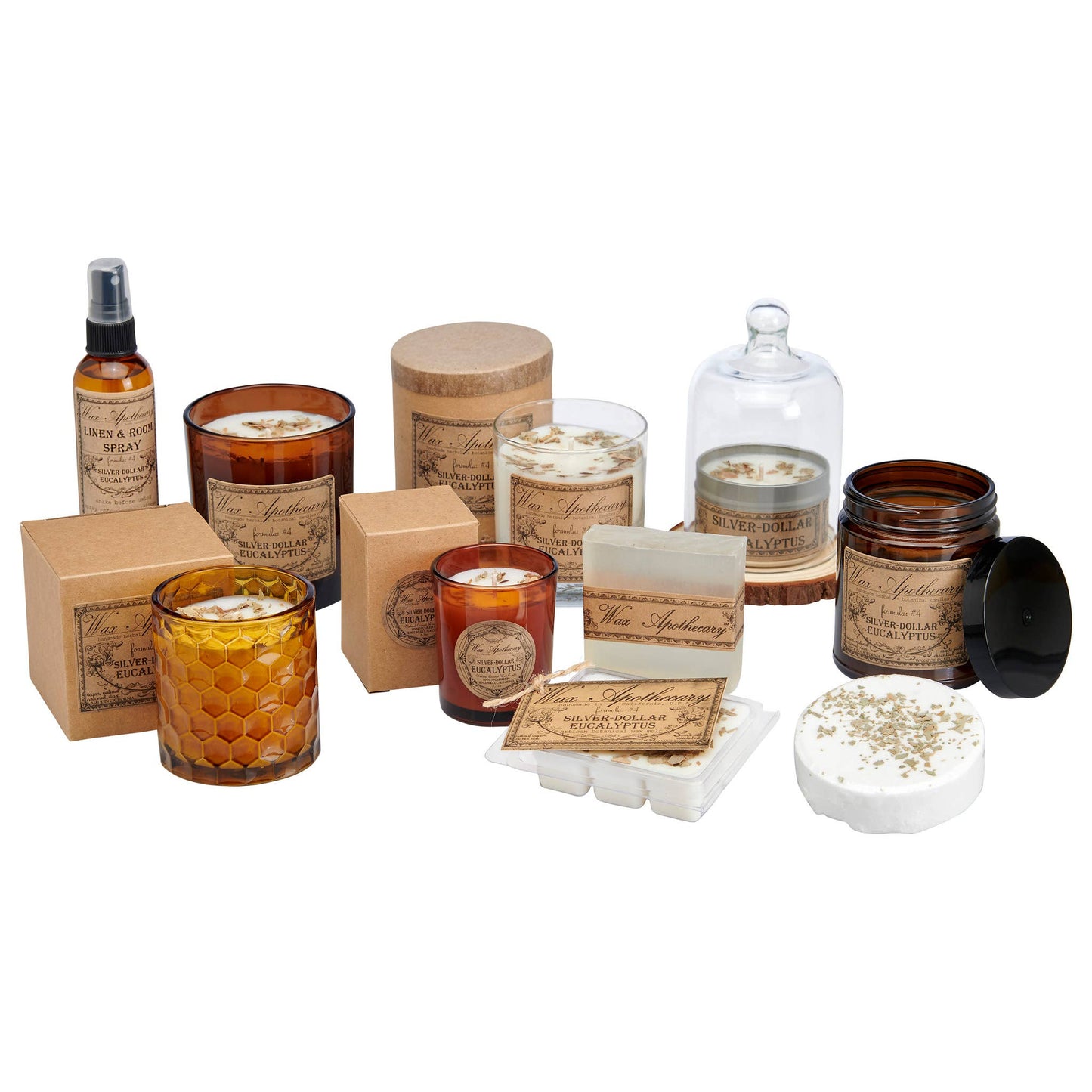 Silver-Dollar Eucalyptus Botanical Travel Tin Candle 4oz