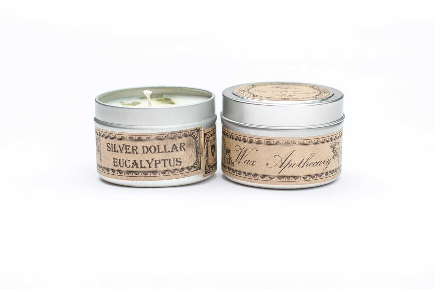 Silver-Dollar Eucalyptus Botanical Travel Tin Candle 4oz