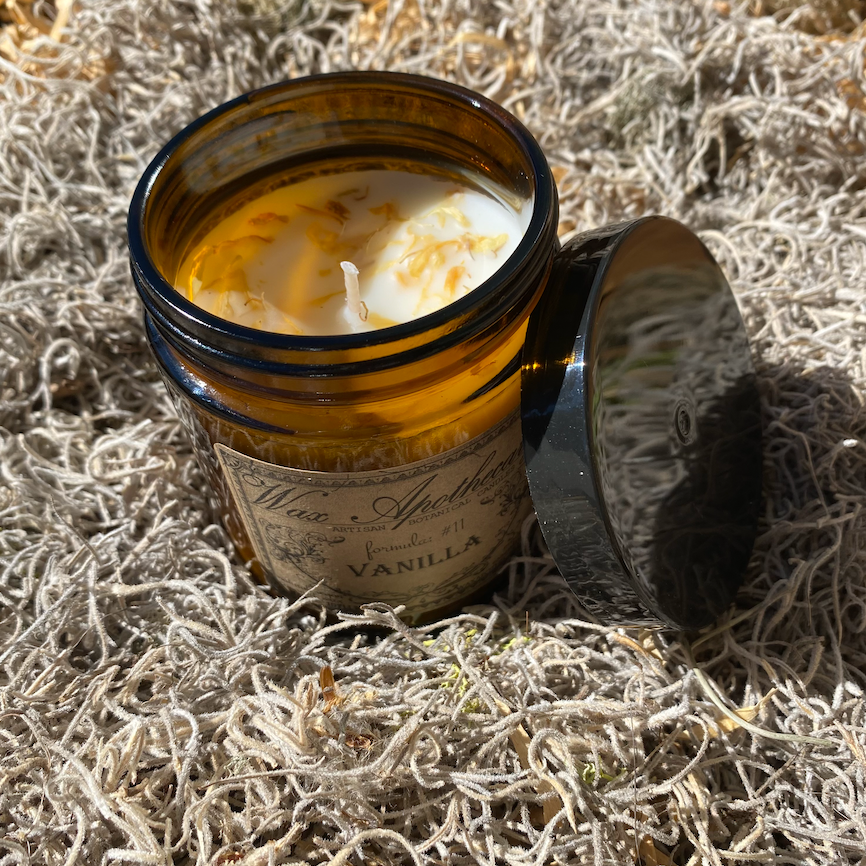 Vanilla 6oz Botanical Candle in Amber Glass Jar w/ Black Lid