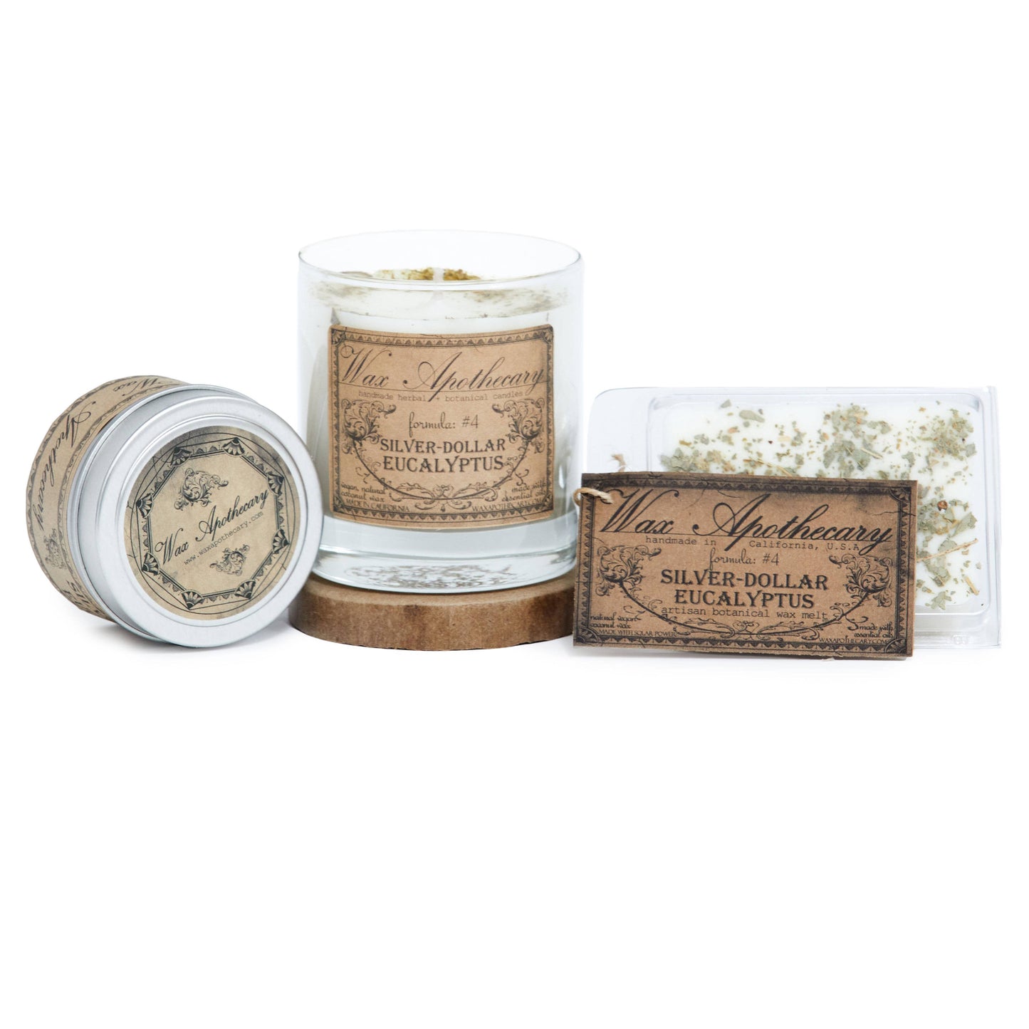 Silver-Dollar Eucalyptus Botanical Travel Tin Candle 4oz