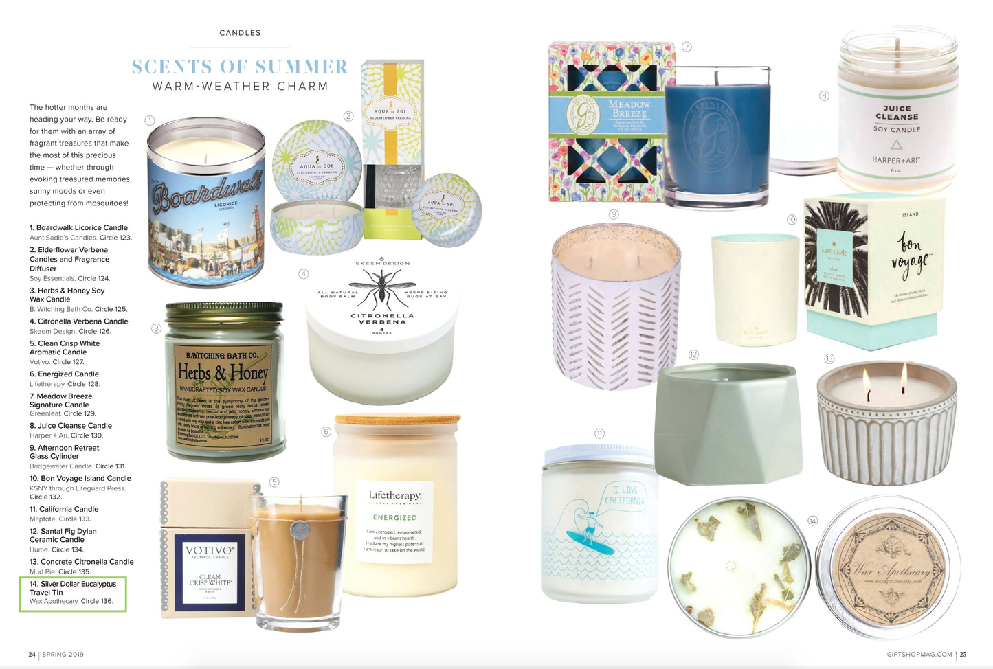 Silver-Dollar Eucalyptus Botanical Travel Tin Candle 4oz