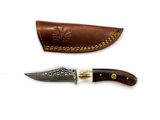 Damascus Steel Skinner Knife, Stag & Walnut Grip