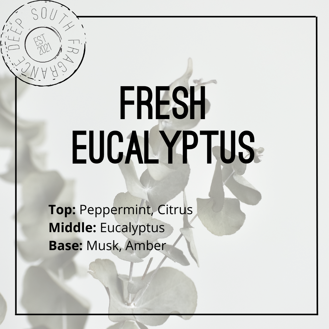 Fresh Eucalyptus Fragrance Oil: 8 ounce