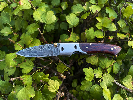 EDC Pocket Knife